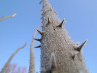 foto-03.jpg