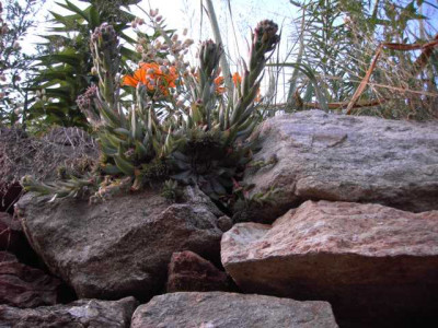 K640_PICT0353.JPG
