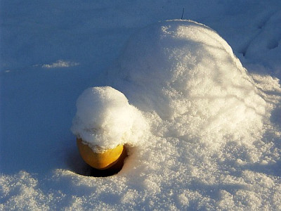Schildi_Schnee.jpg
