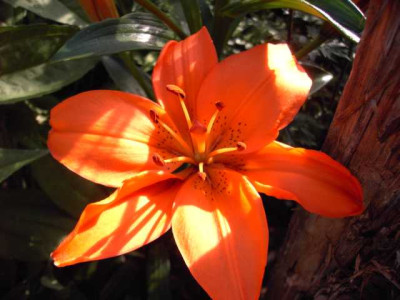 K640_PICT0362.JPG