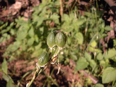 K640_PICT0390.JPG