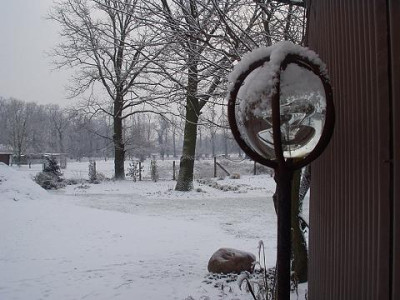 winter.jpg