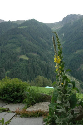 DSC_3017aussicht.jpg