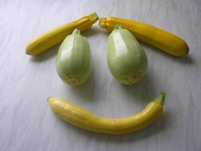 ernte300609.jpg