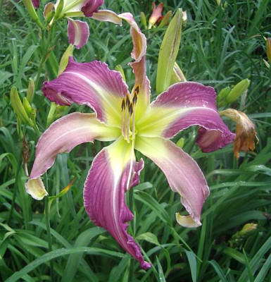 IMGP6890.jpg