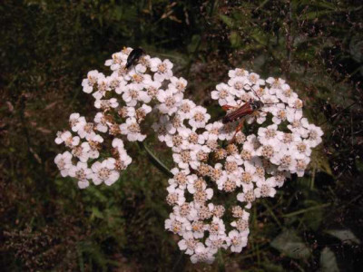 K640_PICT0412.JPG