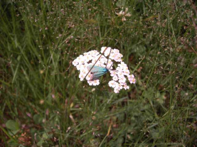 K640_PICT0414.JPG