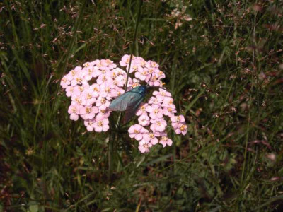 K640_PICT0415.JPG
