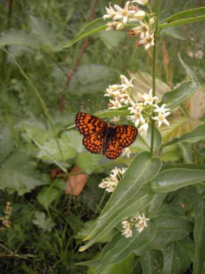 K640_PICT0418.JPG