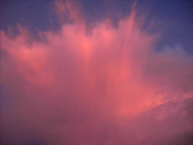 K640_PICT0446.JPG