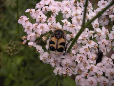 K640_PICT0416.JPG