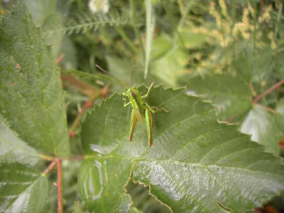 K640_PICT0422.JPG