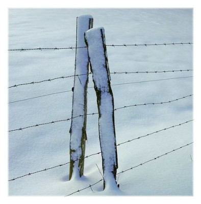 Zeichen_im_Schnee_3_Web.JPG