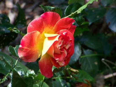 Juli_2009_Gebruder_Grimm.jpg
