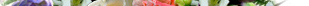 050301_100stel_Blumenstrauss.jpg