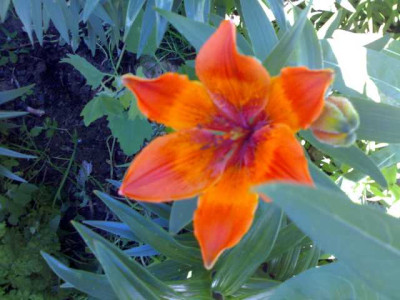 K640_02062009752.JPG