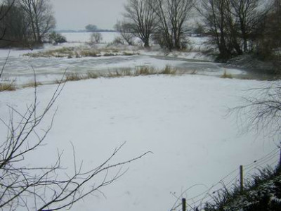 Schnee.JPG
