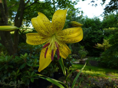 Fruhling_09_336.jpg