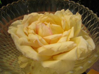IMG_5665_Small.JPG