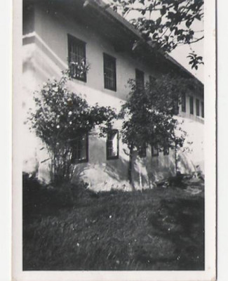 Wiesberg_Juli_1942_Rosen.jpg