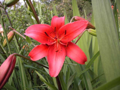 K640_PICT0496.JPG
