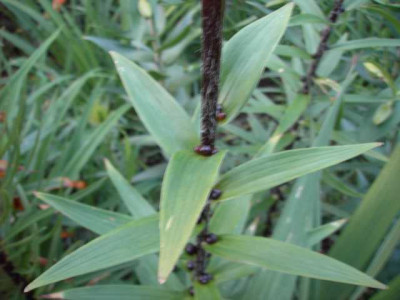 K640_PICT0499.JPG