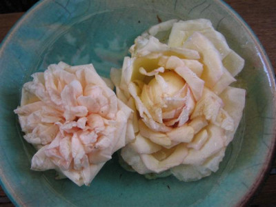 IMG_5684_Small.JPG