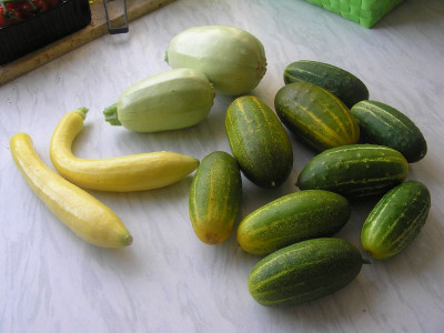 ernete030709.jpg