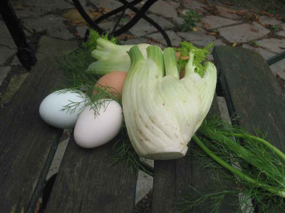 IMG_fenchel.jpg