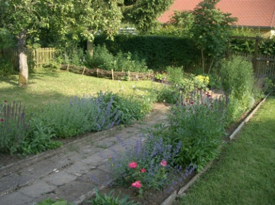 IMGP7885.JPG