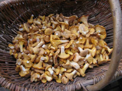 K640_IMG_0711.JPG