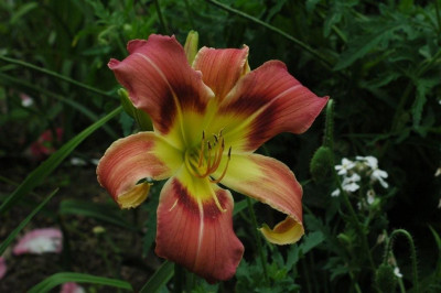 01._07._2009_032.jpg