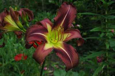 04._07._2009_036.jpg