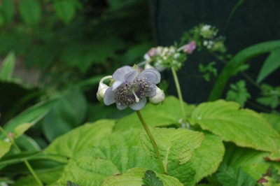 04._07._2009_044.jpg
