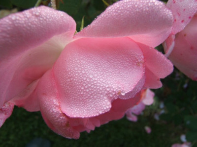 DSCF9617.JPG