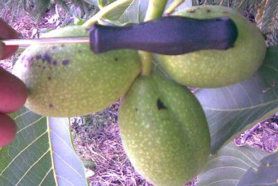 04072009002a.jpg