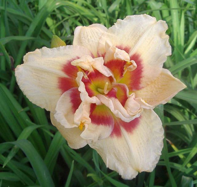 Jean_Swann_X_Roswitha.jpg