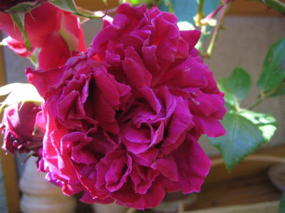 IMG_5737_Small.JPG