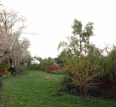pappel_fort_2009-04.jpg