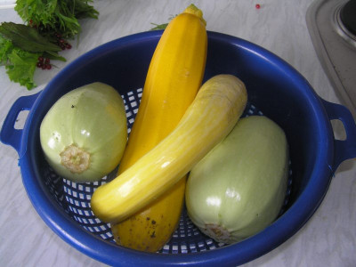 ernte070709.jpg