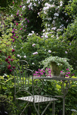 Gartenansicht.jpg