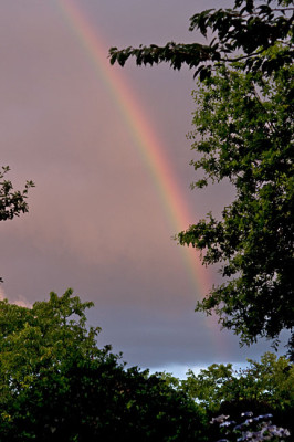 Regenbogen-Jul0809.jpg