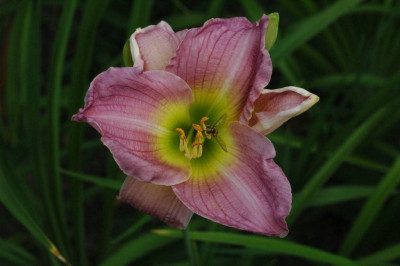 08._07._2009_052.jpg