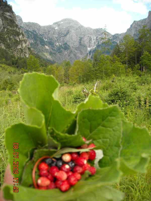 DSCN1214.jpg