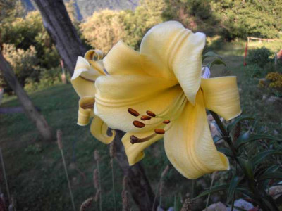 K640_PICT0510.JPG
