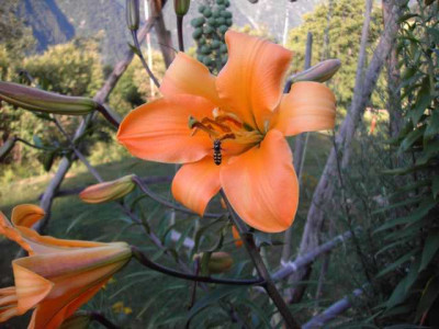 K640_PICT0513.JPG