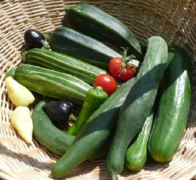 0_ernte_090708.jpg