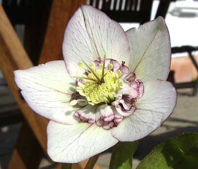 Imgp7903.jpg