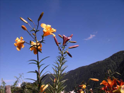 K640_PICT0530.JPG