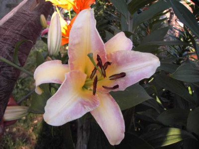 K640_PICT0544.JPG